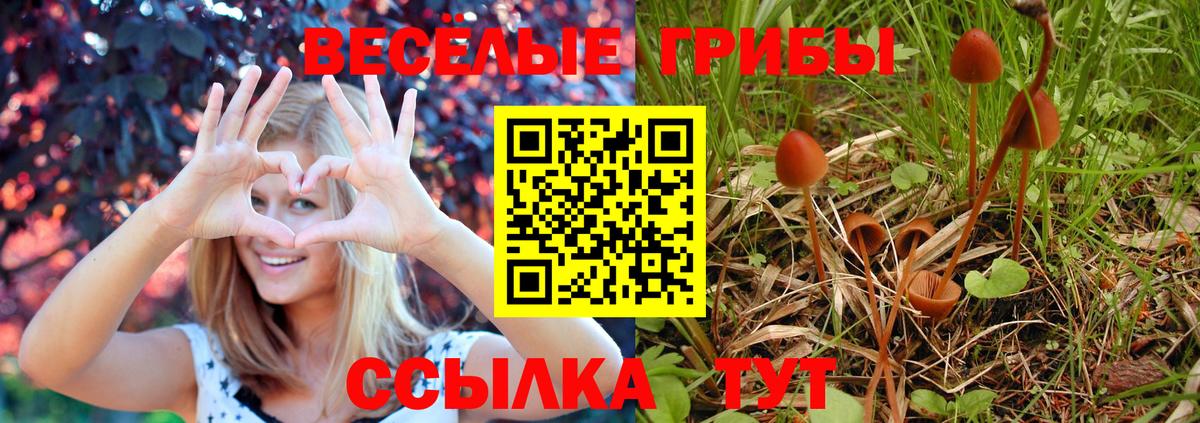 Галлюциногенные грибы мухоморы  Вход с VPN  Владикавказ 